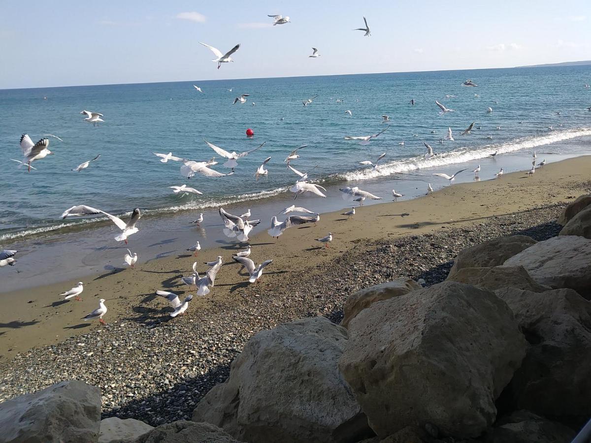 فندق The Spidaki Lania المظهر الخارجي الصورة
